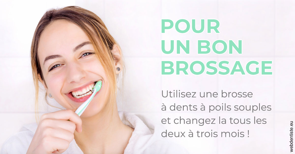 https://selarl-dentech.chirurgiens-dentistes.fr/Pour un bon brossage 2