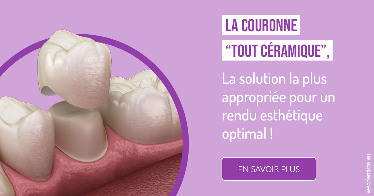 https://selarl-dentech.chirurgiens-dentistes.fr/La couronne "tout céramique" 2