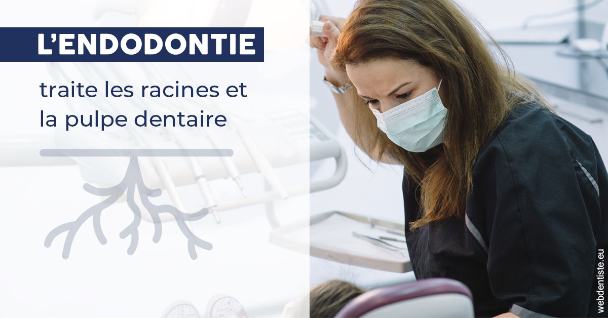 https://selarl-dentech.chirurgiens-dentistes.fr/L'endodontie 1
