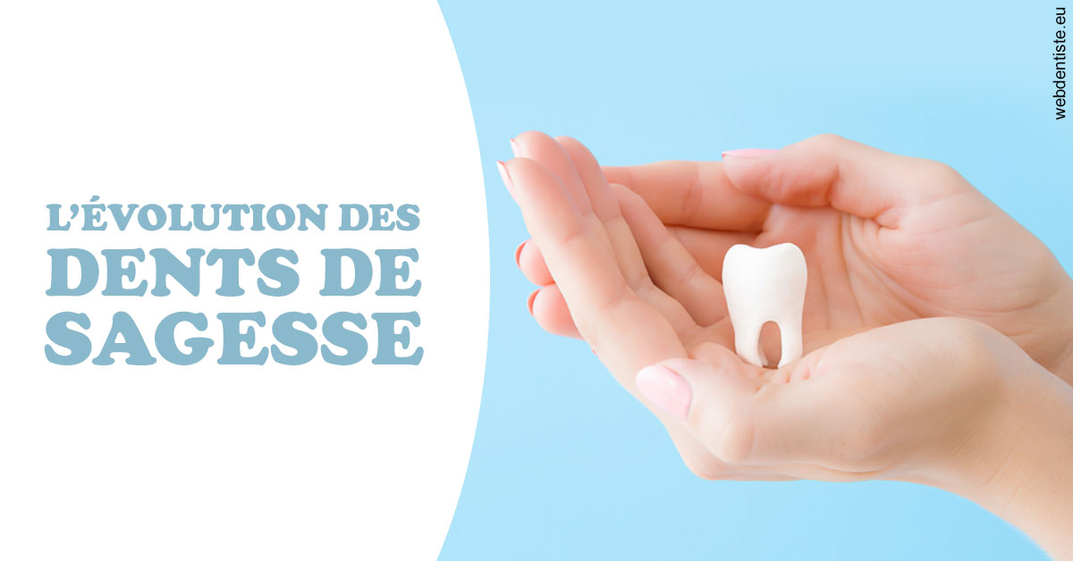 https://selarl-dentech.chirurgiens-dentistes.fr/Evolution dents de sagesse 1