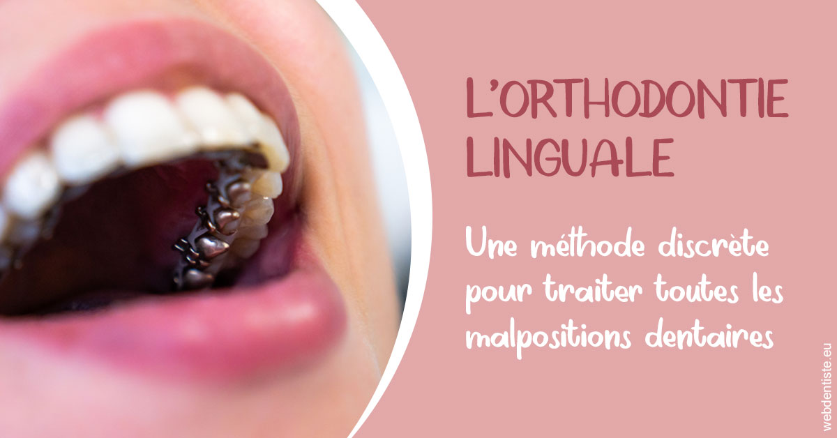 https://selarl-dentech.chirurgiens-dentistes.fr/L'orthodontie linguale 2