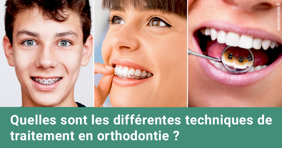 https://selarl-dentech.chirurgiens-dentistes.fr/Les différentes techniques de traitement 2