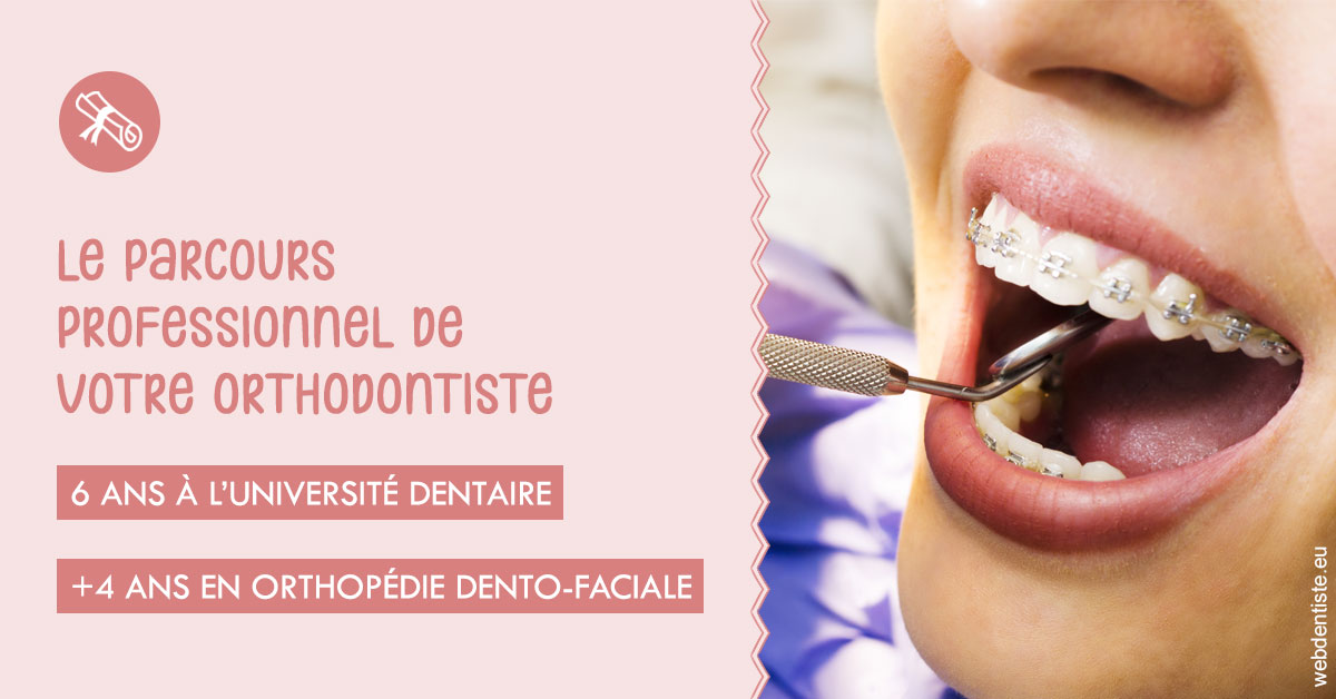 https://selarl-dentech.chirurgiens-dentistes.fr/Parcours professionnel ortho 1